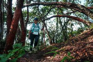 BIB: 
                            <button type="button" onclick="openModal(26345749)" class="btn btn-primary btn-sm float-right btn-popup" data-toggle="modal" data-target=".modal-high-quality">
                        <i class="fas fa-shopping-cart"></i> Add to Cart
                    </button>
                                            <button type="button" onclick="isThisMe(26345749, true)" class="btn btn-success btn-sm float-right btn-popup btn-isme hidden" data-toggle="tooltip" data-placement="bottom" title="นี่คือรูปของคุณใช่ไหม คลิกที่นี่เพื่อเอาเข้าอัลบั้ม">
                        <i class="fas fa-plus"></i> Add to album
                    </button>
                    <button type="button" onclick="isThisMe(26345749, false)" class="btn btn-warning btn-sm float-right btn-popup btn-isnotme hidden">
                        <i class="fas fa-ban"></i> Remove from album
                    </button>